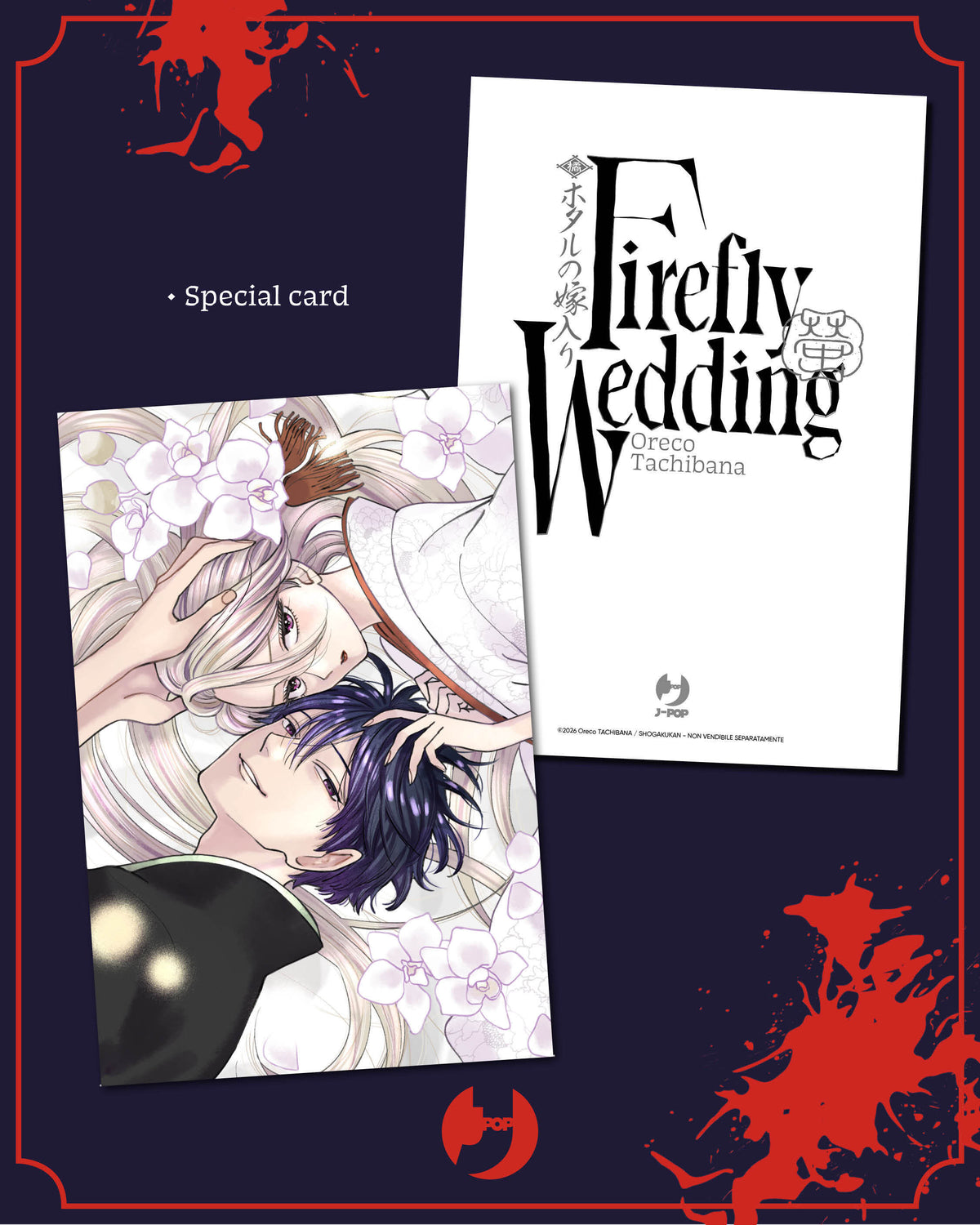 FIREFLY WEDDING VOL.12 - DELUXE